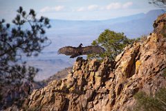 27_Big Bend National Park_05